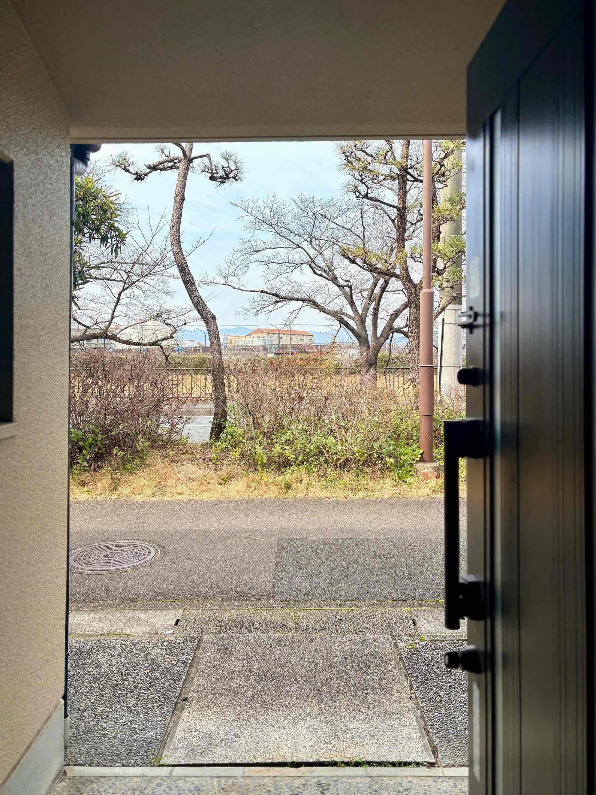 京都市左京区高野玉岡町1-141の賃貸物件/行ってきます！の景色。目の前に松の木があり、その向こうには高野川沿いの桜並木。