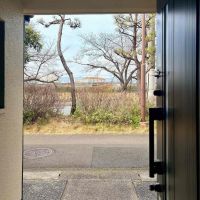 京都市左京区高野玉岡町1-141の賃貸物件/行ってきます！の景色。目の前に松の木があり、その向こうには高野川沿いの桜並木。