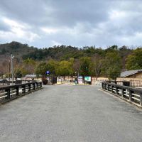 京都市左京区上高野石田町156-3の賃貸物件/宝ヶ池公園内の子供の楽園にすぐに到着。これにはお子さんも大喜びしそう