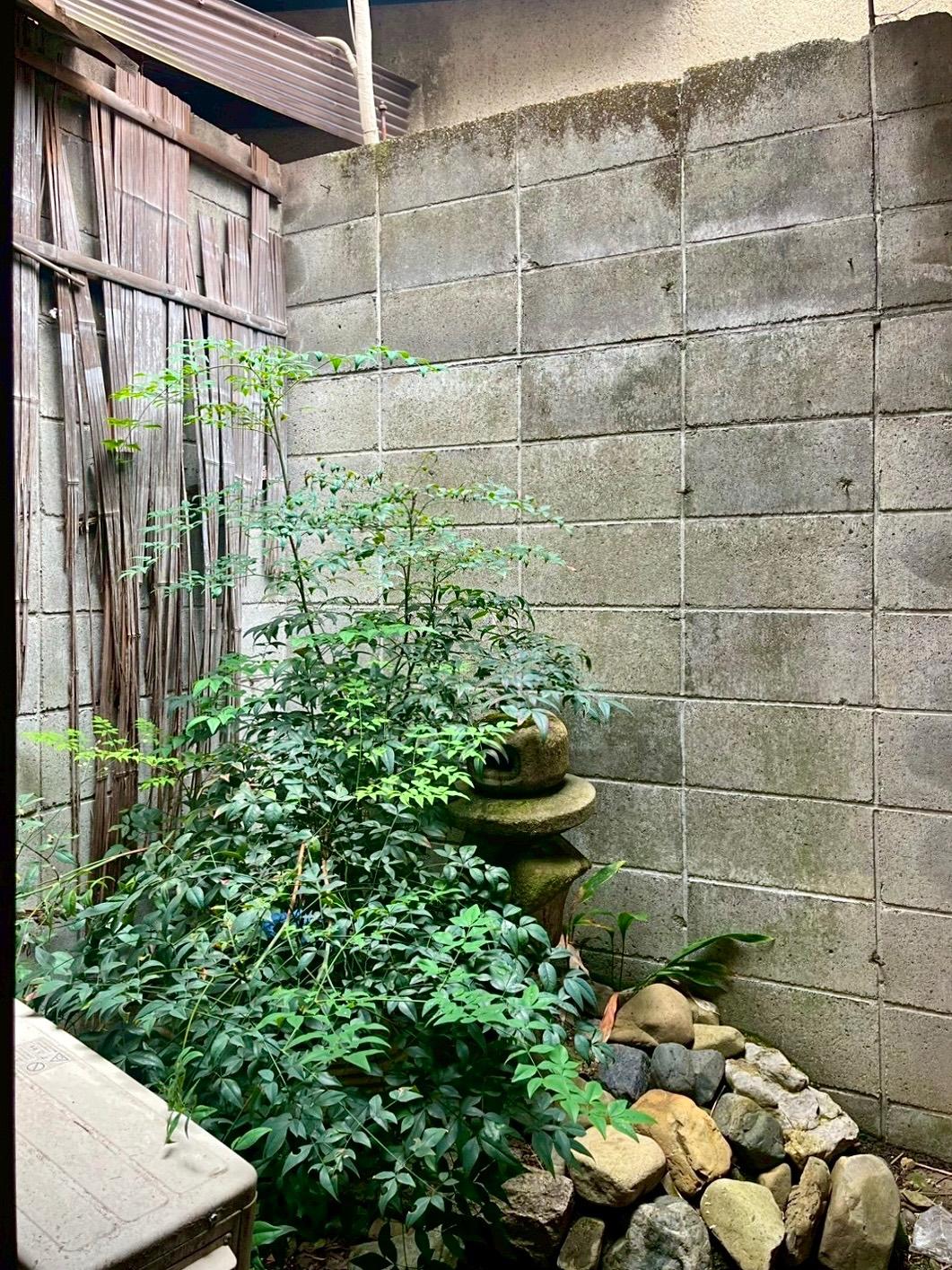 京都市下京区木屋町通六軒上る都市町151番地6の賃貸物件/少し植物を増やしてあげれば室内から眺める景色もぐっと豊かになりそう