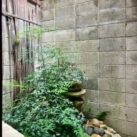 京都市下京区木屋町通六軒上る都市町151番地6の賃貸物件/少し植物を増やしてあげれば室内から眺める景色もぐっと豊かになりそう