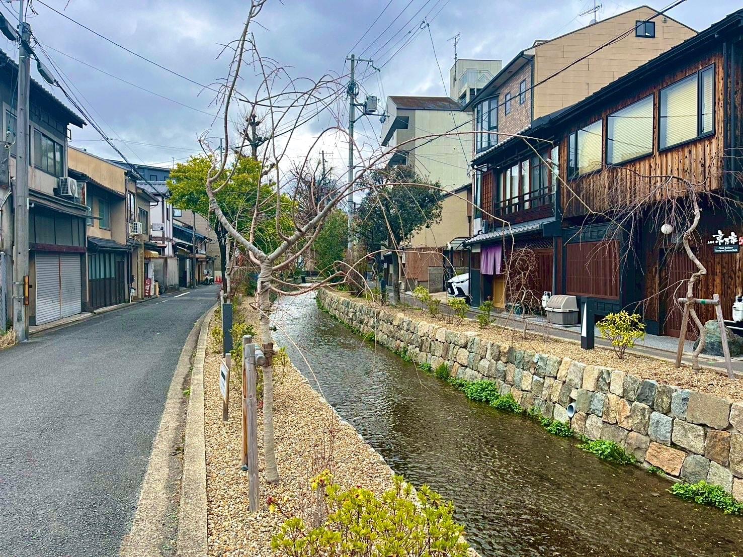 京都市下京区木屋町通六軒上る都市町151番地6の賃貸物件/高瀬川がすぐそばでせせらぎます。川沿いもかなり綺麗になっていて町全体が変わりつつあるのを感じます