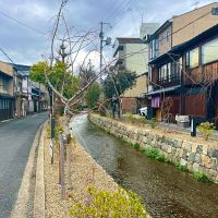 京都市下京区木屋町通六軒上る都市町151番地6の賃貸物件/高瀬川がすぐそばでせせらぎます。川沿いもかなり綺麗になっていて町全体が変わりつつあるのを感じます