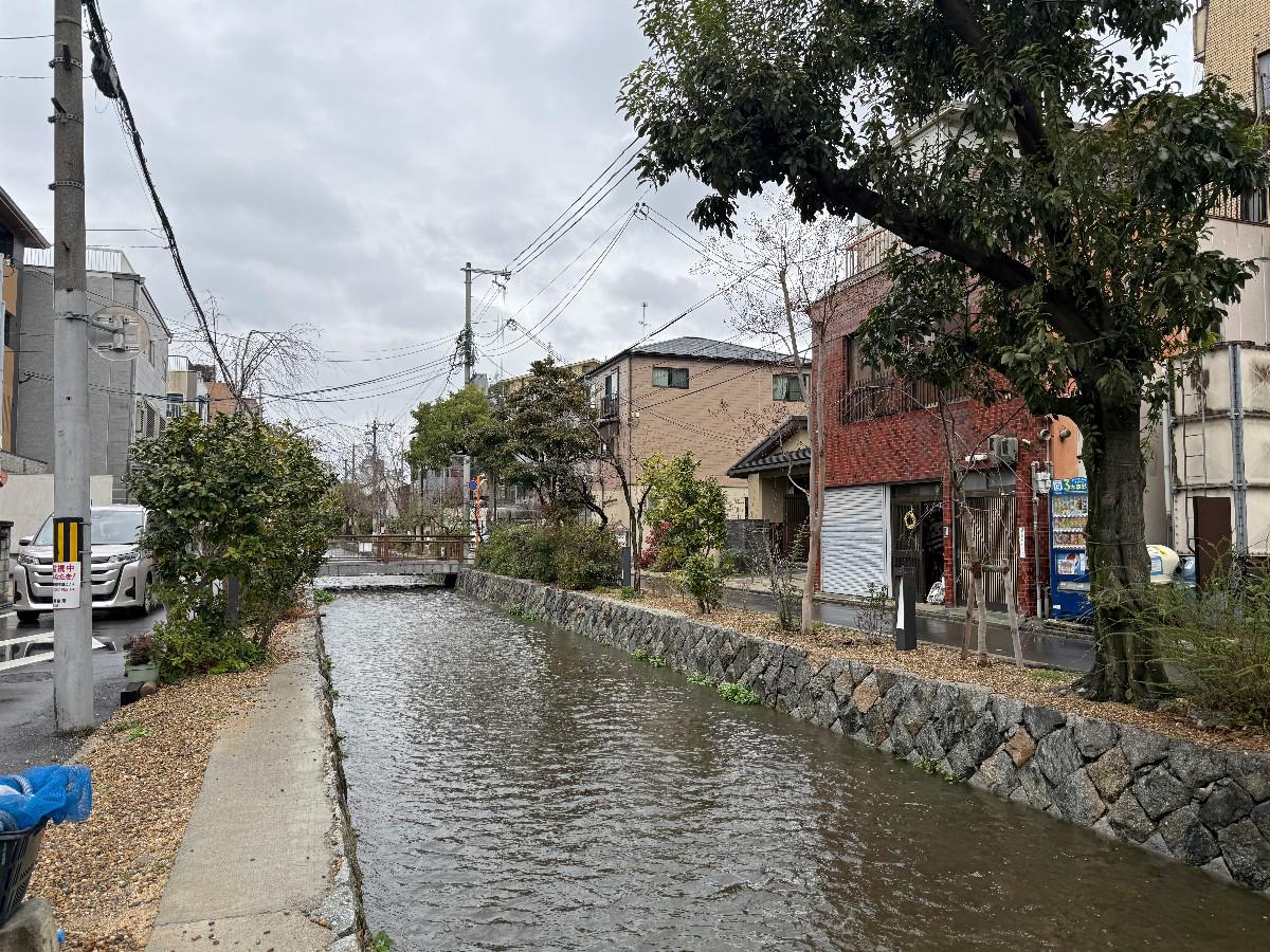 〒600-8141 京都府京都市下京区新日吉町１２４&minus;１０の賃貸物件/路地を出た先にある高瀬川。きれいに整備されて明るい雰囲気に変わっています