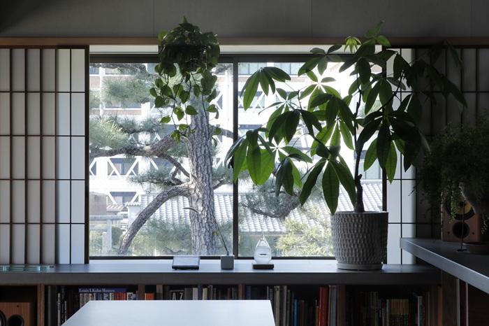 京都市左京区北白川追分町1-4の売買物件/障子を開けると正面に松（photo by来田猛氏）