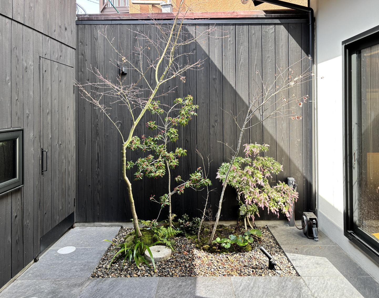 京都市上京区東今⼩路町744-28の賃貸物件/中庭は、季節によって表情を変えてくれます。