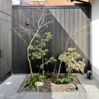 京都市上京区東今⼩路町744-28の賃貸物件/中庭は、季節によって表情を変えてくれます。