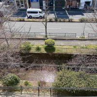 京都市左京区北白川久保田町29-9の賃貸物件/桜の咲かない時期は真下には琵琶湖疎水のきらきらと美しい水面が目を惹きます