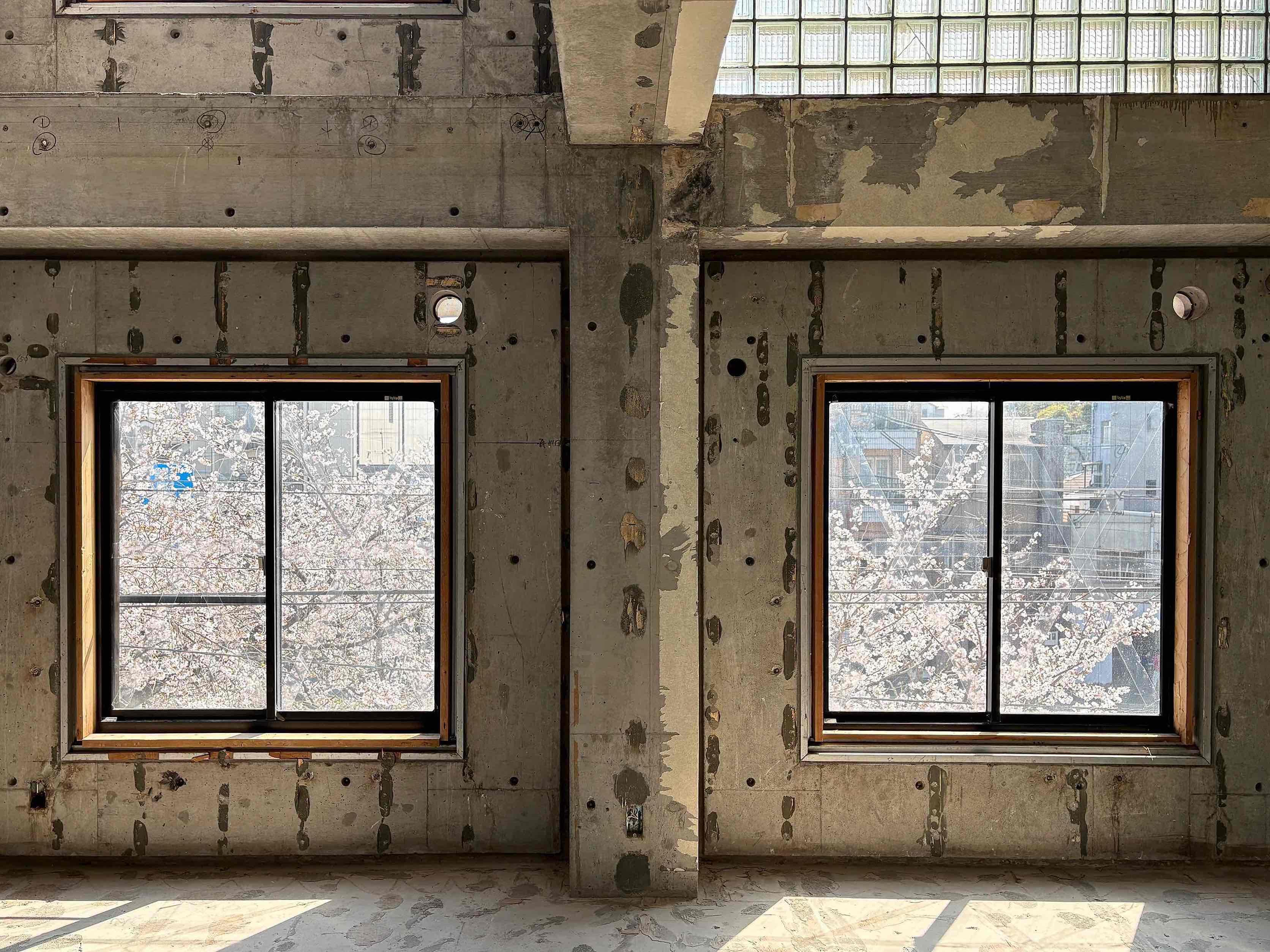 京都市左京区北白川久保田町29-9の賃貸物件/本物件の南側に琵琶湖疎水が流れています。窓の先には桜がこちらに伸びています。