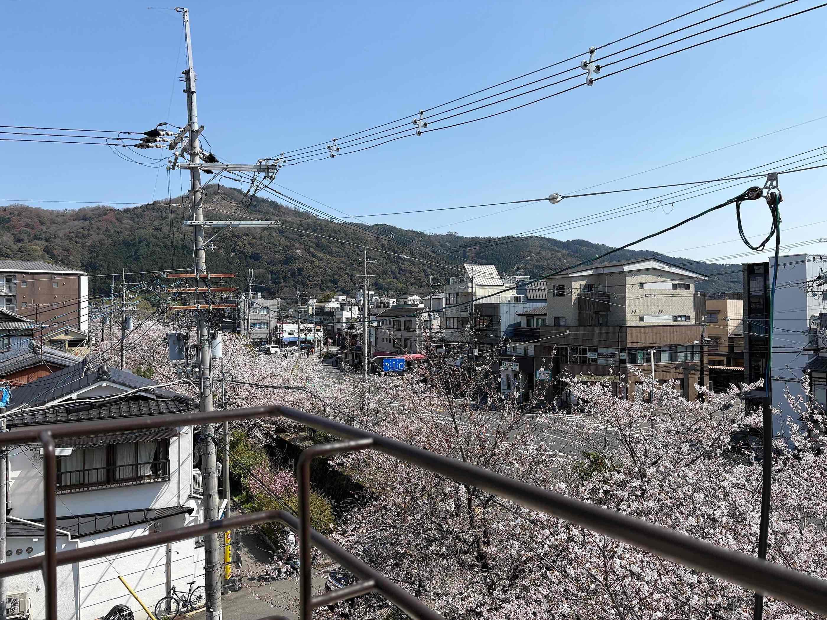 京都市左京区北白川久保田町29-9の賃貸物件/バルコニーからは大文字がスカッとな眺められます