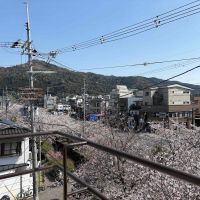 京都市左京区北白川久保田町29-9の賃貸物件/バルコニーからは大文字がスカッとな眺められます