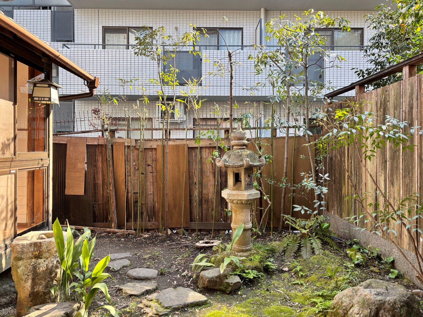 京都市左京区聖護院中町の賃貸物件/1F│北側にある、季節を感じる小さな庭