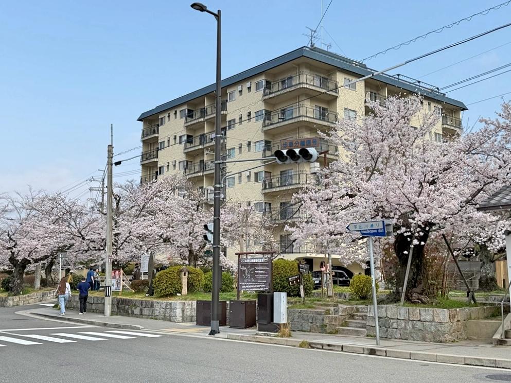 京都市左京区銀閣寺前町10の賃貸物件/低層住宅の中にどっしりと構えるヴィンテージマンション（オーナー提供写真）