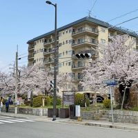 京都市左京区銀閣寺前町10の賃貸物件/低層住宅の中にどっしりと構えるヴィンテージマンション（オーナー提供写真）