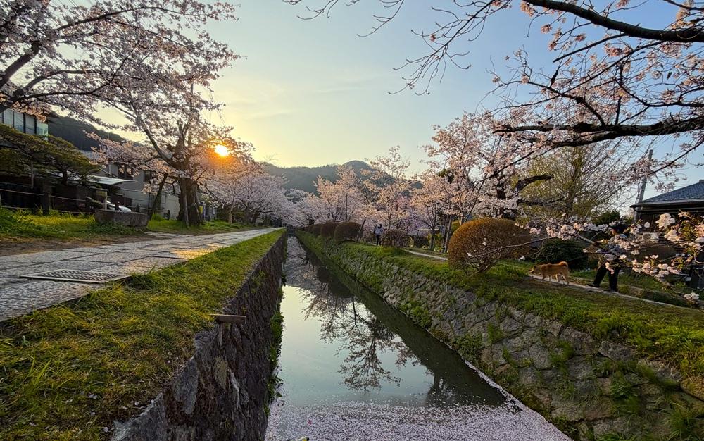 京都市左京区銀閣寺前町10の賃貸物件/早起きは三文の徳（オーナー提供写真）