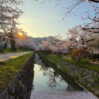 京都市左京区銀閣寺前町10の賃貸物件/早起きは三文の徳（オーナー提供写真）