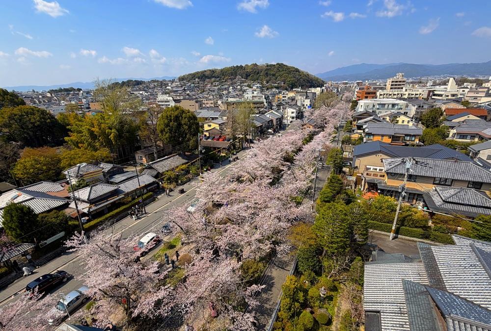 京都市左京区銀閣寺前町10の賃貸物件/見下ろすとこの風景（オーナー提供写真）