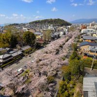 京都市左京区銀閣寺前町10の賃貸物件/見下ろすとこの風景（オーナー提供写真）