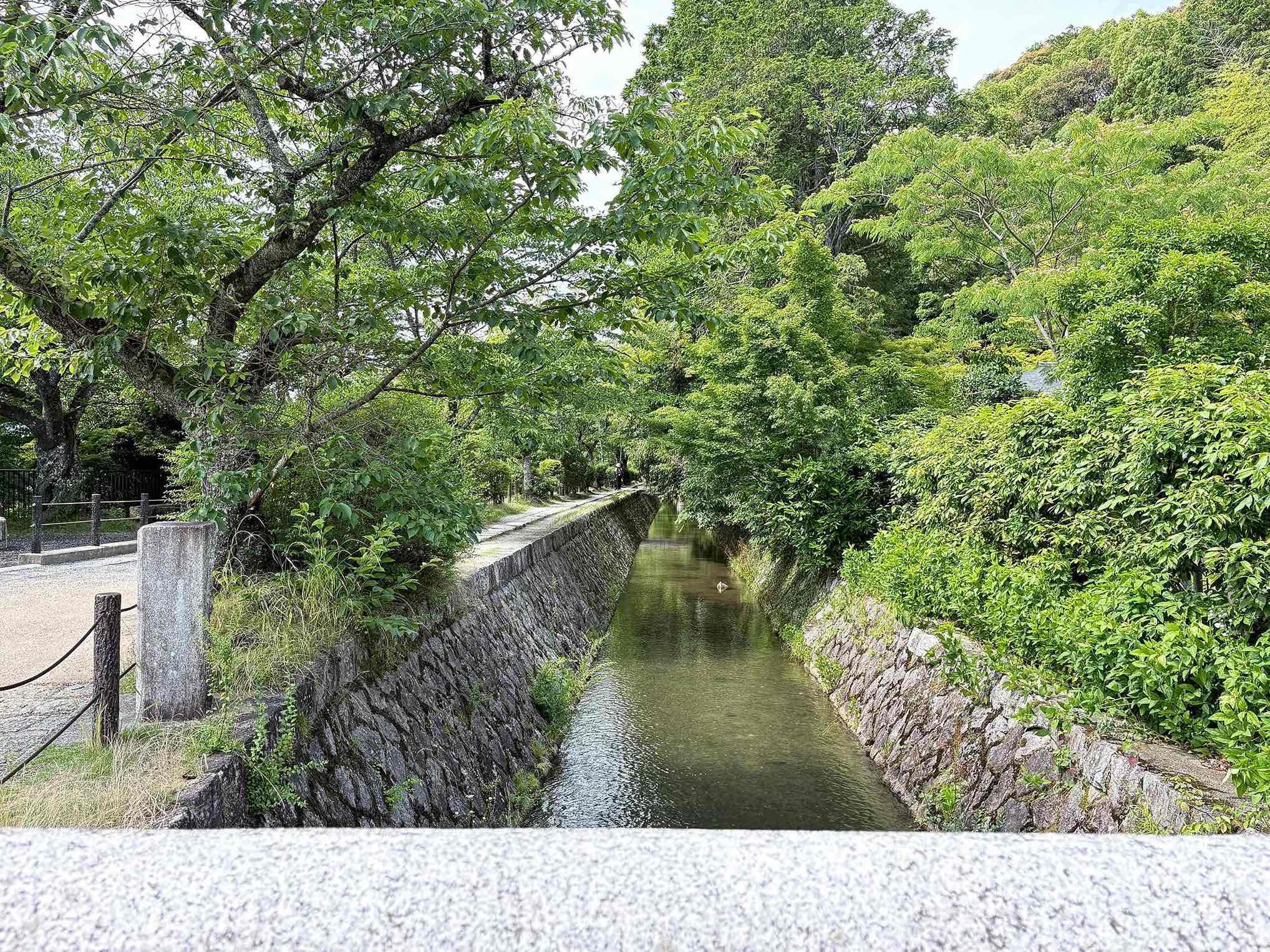 京都市左京区若王子町28の賃貸物件/写真からも溢れそうなマイナスイオンを感じました。春が待ち遠しい。