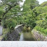 京都市左京区若王子町28の賃貸物件/写真からも溢れそうなマイナスイオンを感じました。春が待ち遠しい。