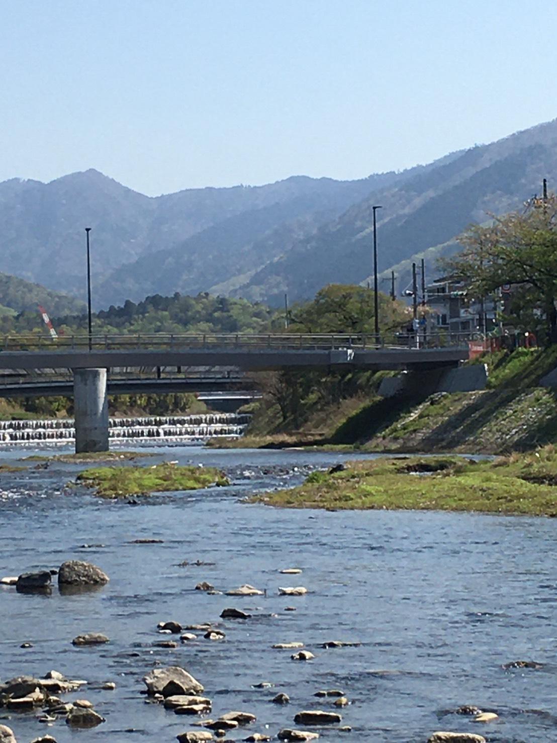 高野川に出ればこの景色。