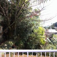 京都市山科区日ノ岡坂脇町21の賃貸物件/（8号室の写真　7号室はこの右隣りなのでもう少し抜け感あり）