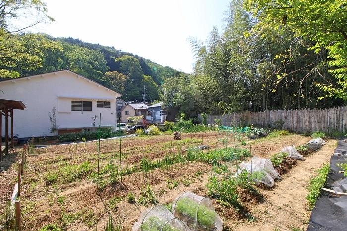 京都市山科区日ノ岡坂脇町21の賃貸物件/建物と畑の関係