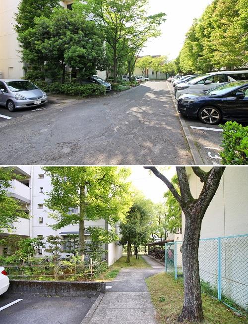 とにかく敷地内には緑が溢れてます