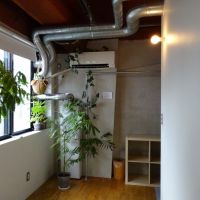 大阪市天王寺区石ヶ辻町の賃貸物件/日当たりも良いので植物もよく育ちます。