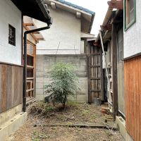 堺市堺区南島町2丁目の賃貸物件/中庭。少し手を加えればより素敵な空間になりそう