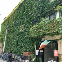 大阪市中央区伏見町２丁目の賃貸物件/ツタもじゃの外観が有名な近代建築