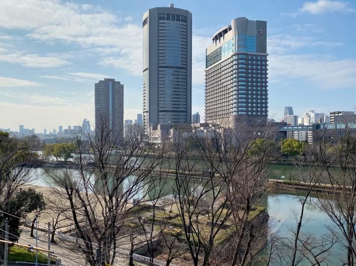 大阪市都島区中野町4丁目の賃貸物件/冬場はこんな姿に。春に向けての準備が始まっています。