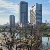 大阪市都島区中野町4丁目の賃貸物件/冬場はこんな姿に。春に向けての準備が始まっています。