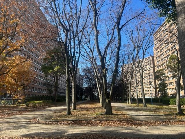 大阪市北区中津2の賃貸物件/中津公園を囲むように建つA〜D棟。