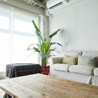 大阪市北区中崎町3丁目の賃貸物件/開口部が大きく、たっぷりと光が入ってきます。