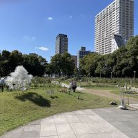 大阪市西区靭本町2丁目の賃貸物件/公園の緑と高層建築のコントラスト。このエリアの特徴にも感じます。