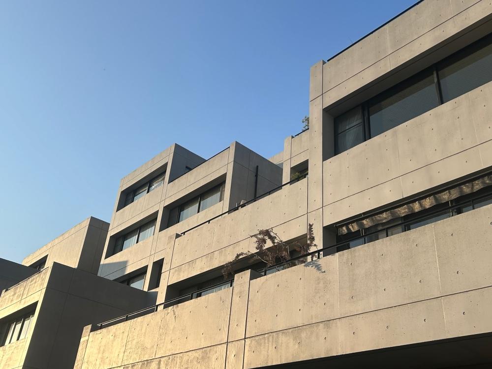 箕面市箕面3丁目の売買物件/時間によってコンクリートの表情が豊かに変化します。