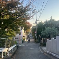 箕面市箕面3丁目の売買物件/ローカルで落ち着いた前の道路