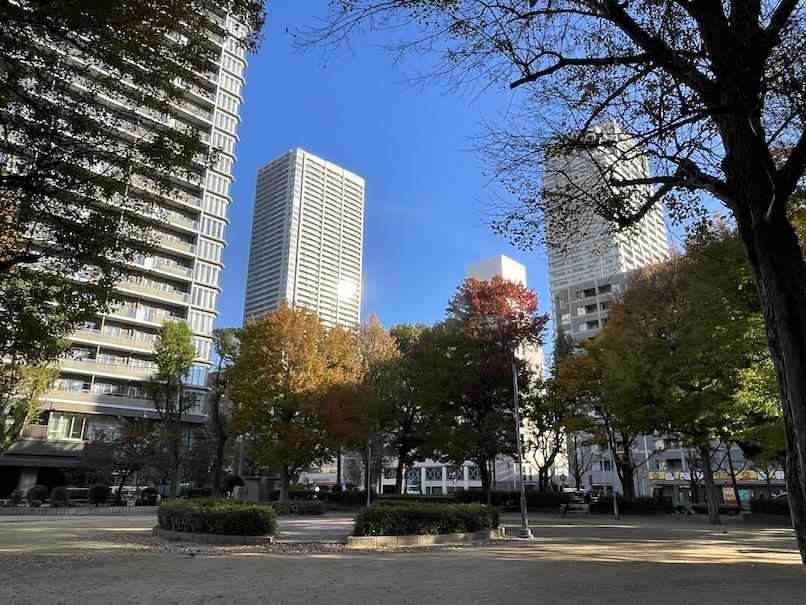 大阪市西区新町2丁目の賃貸物件/近くには公園もあります。都会のオアシス的な存在にホッとします。