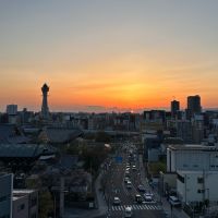 大阪市天王寺区逢阪2の売買物件/夕陽ヶ丘とはこういうまち。