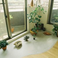 大阪市天王寺区逢阪2の売買物件/夏場に植物を避難させたり。