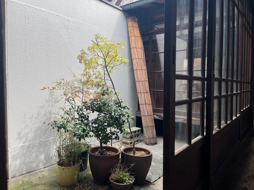 大阪府大阪市中央区上本町西１丁目の賃貸物件/中庭。