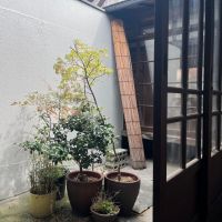 大阪府大阪市中央区上本町西１丁目の賃貸物件/中庭。