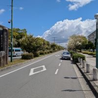 大阪府富田林市寺池台一丁目の売買物件/団地沿いの道路も緑の風景が楽しめます。