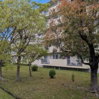 大阪府富田林市寺池台一丁目の売買物件/敷地には緑が広がっています。