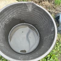 大阪市住吉区大領4丁目の賃貸物件/おまけ：5月、畑でドジョウを見せてもらいました