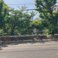 大阪市中央区糸屋町1丁目の賃貸物件/物件側から道路を挟んで公園を見る。