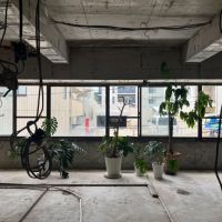 大阪市西区新町3丁目の賃貸物件/植物屋さんとの相性も良さそうです。（3F)