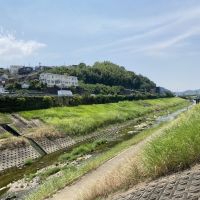 奈良県北葛城郡王寺町元町の売買物件/駅までの道のり風景。のどか〜！