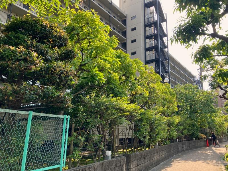 大阪市大正区泉尾1の賃貸物件/外構がきちんと整備されたマンションです。
